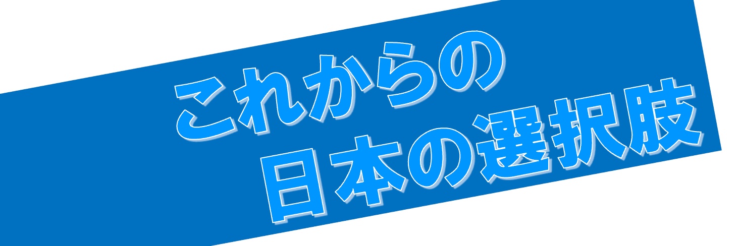 これからの日本の選択肢's banner