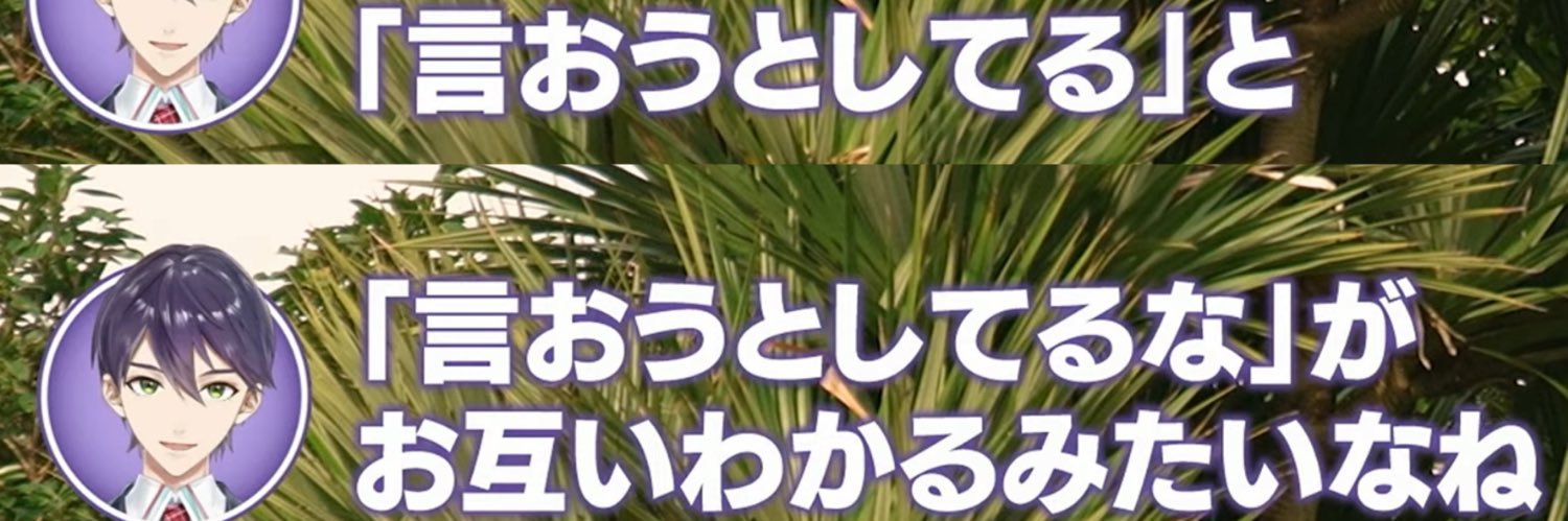 きつつき🕊️🕊️'s banner