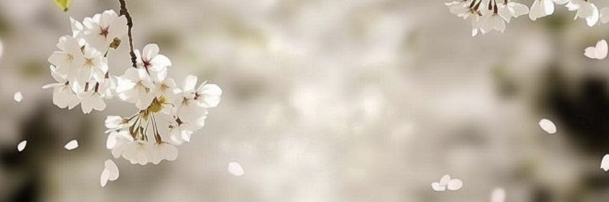 bere's banner