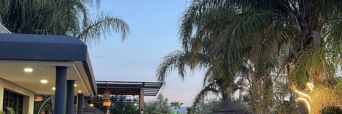 🇩🇿's banner