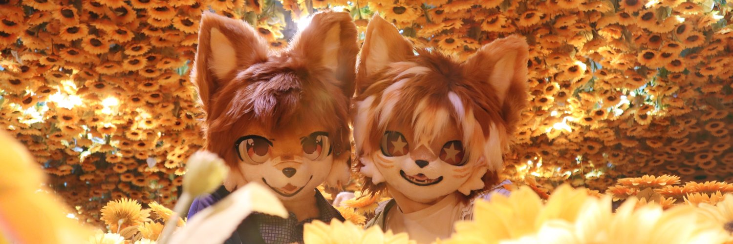 皮皮伦's banner