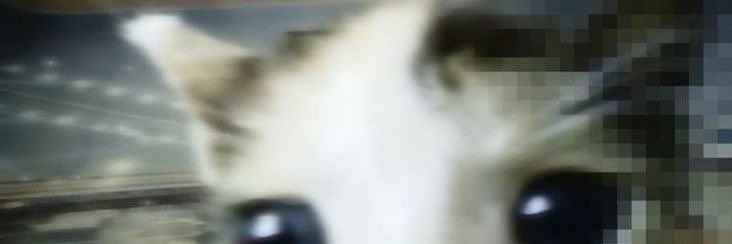 Alyxsxn ♡'s banner