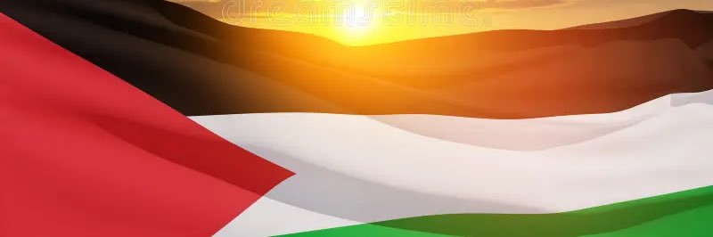 Skndr's banner