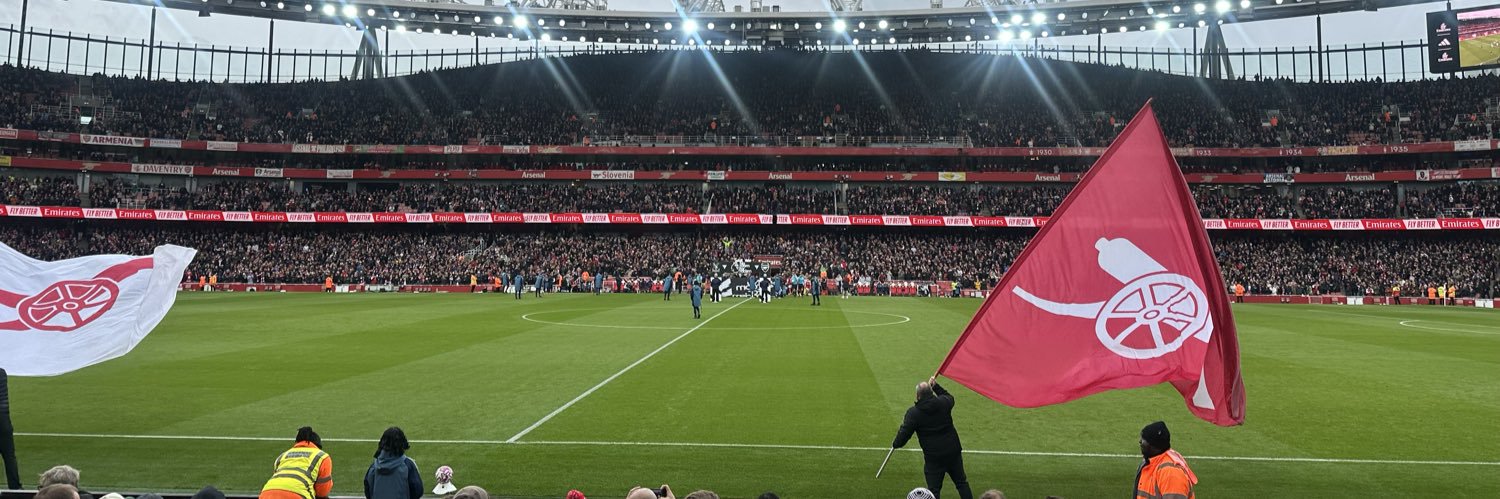 N1Gooner's banner