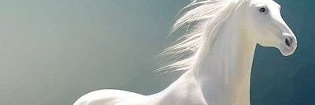 CANBERK_dr_3's banner