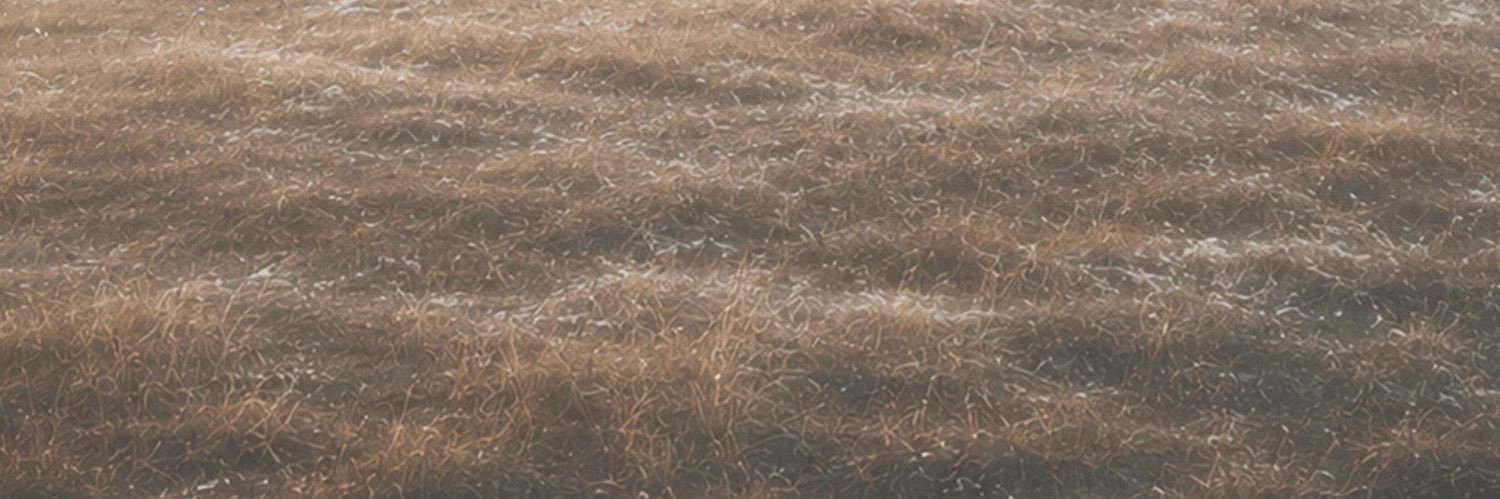 강승식 (Kang Seungsik)'s banner