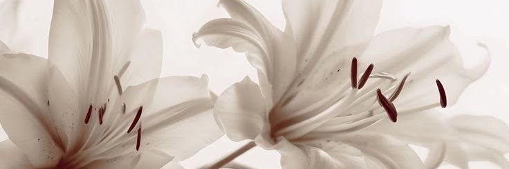 ً's banner