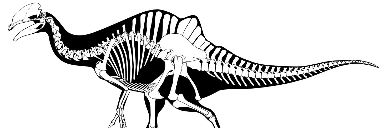 Dilovencheirus🦖's banner