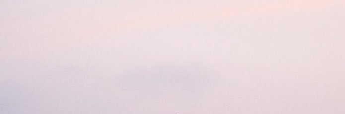 miyu ო's banner