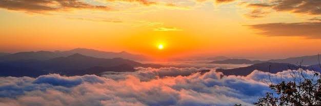 Almeera's banner