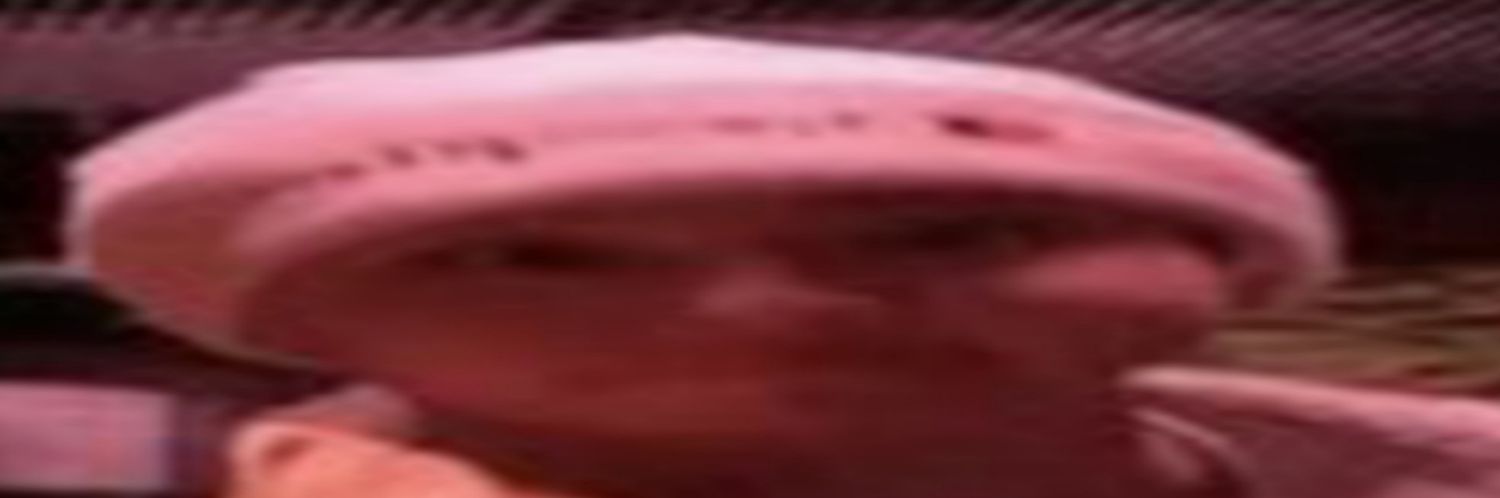 🐹's banner