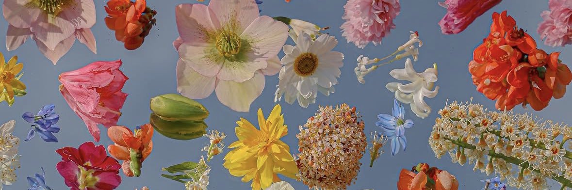Maria Vallentina's banner