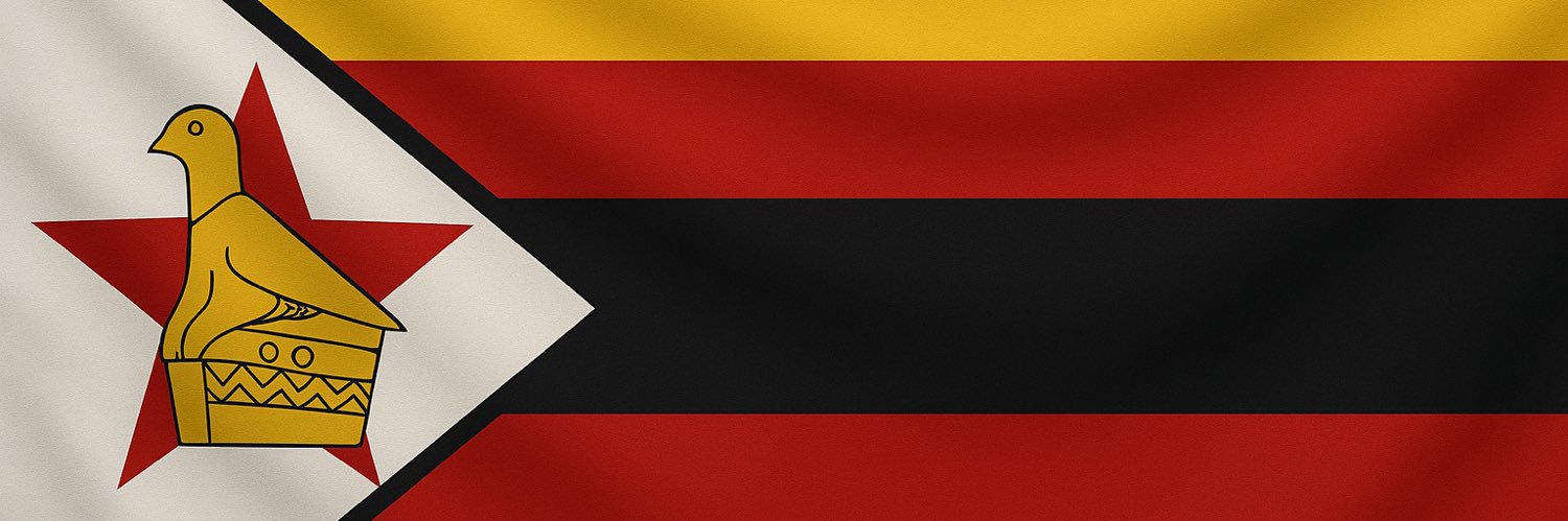 Engineer Bhebhe's banner