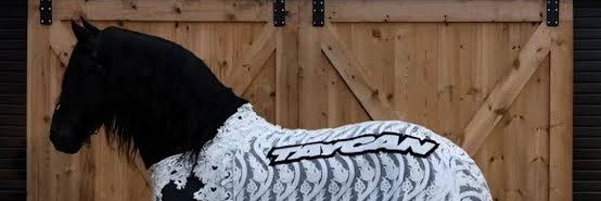 batucicekli's banner