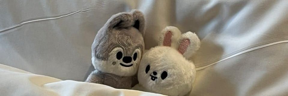 𝙚𝙧𝙞 🧸 | Saw skz & bts ୨ৎ⋆₊˚✩'s banner