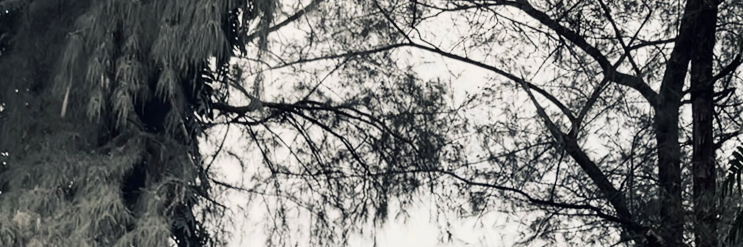 Diana_'s banner