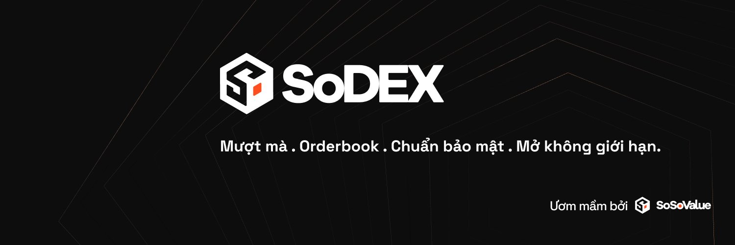 SosoValue | Việt Nam 🇻🇳's banner