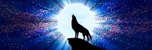 Street Wolf's banner
