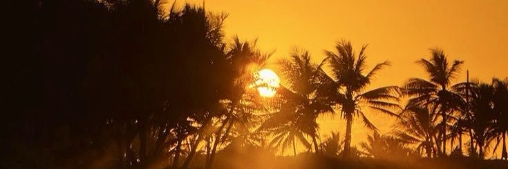 نـوره's banner