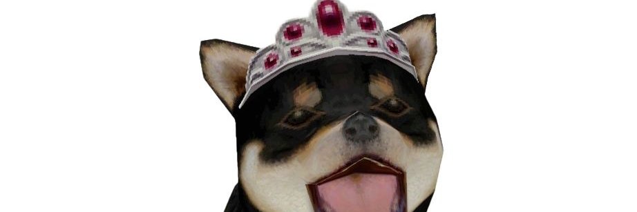 jeri's banner