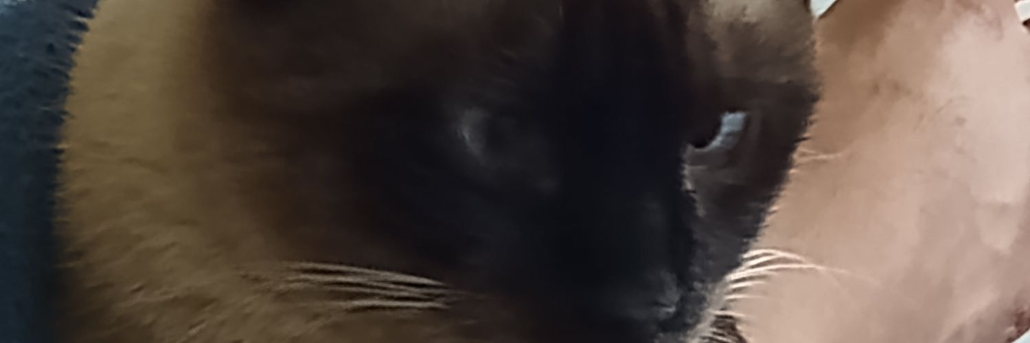 Eduzin's banner
