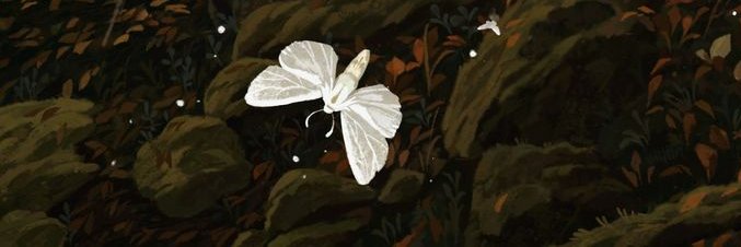 Fawn's banner