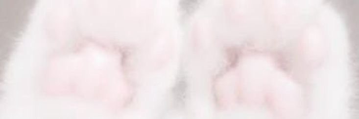 絲's banner
