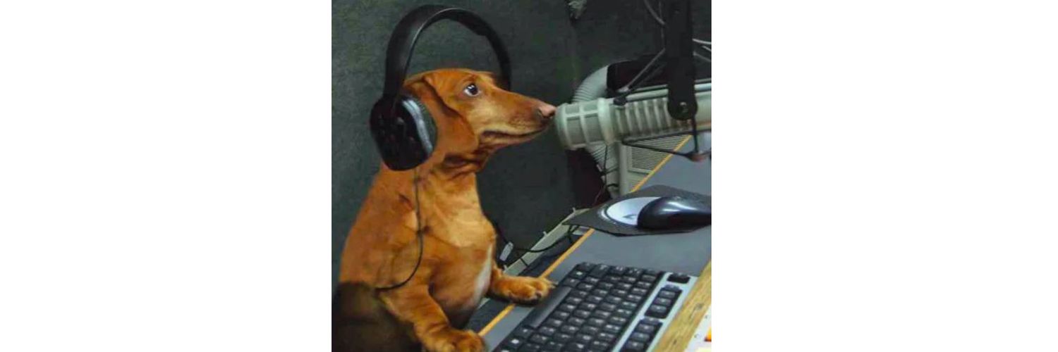 pets4all's banner