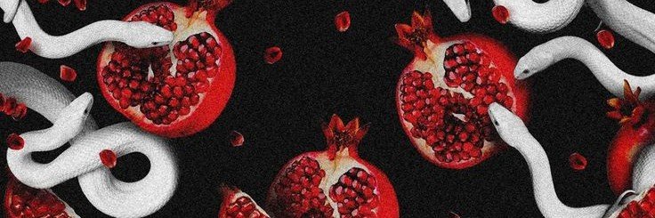 𝐘𝖔𝖗𝖗🫀's banner