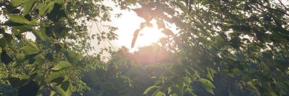 aj 𐂂's banner