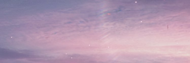 belle's banner