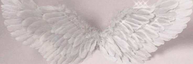 Angel's banner