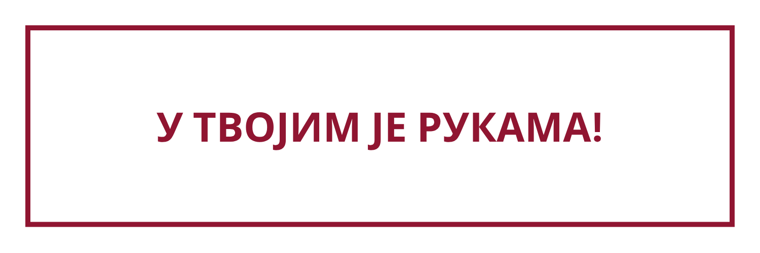 Zbor Rakovica's banner