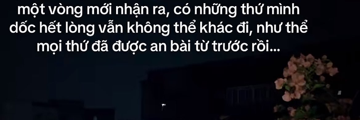 Trai Cô đơn ✈️'s banner