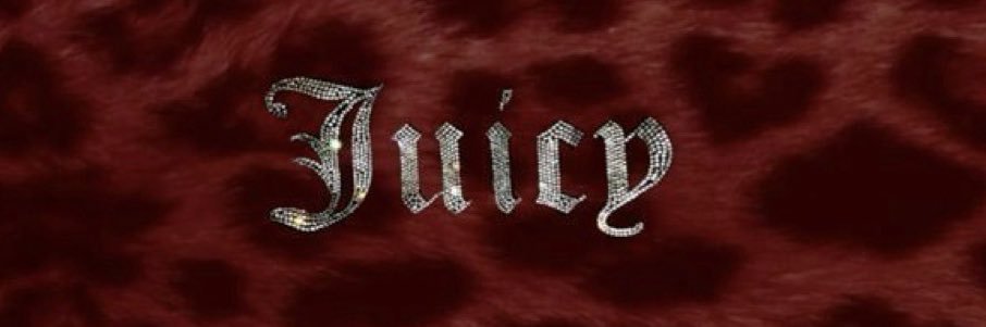 Anaya's banner