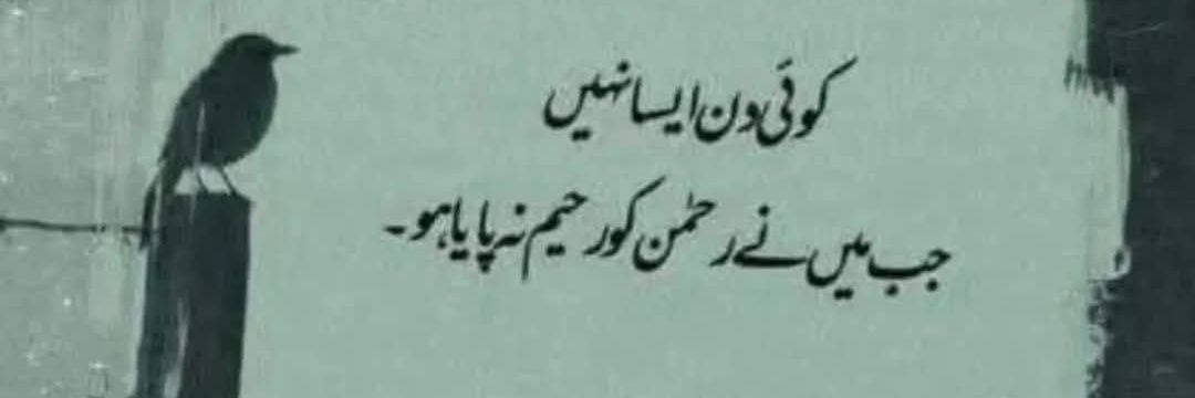 نادان لڑکی🦋's banner