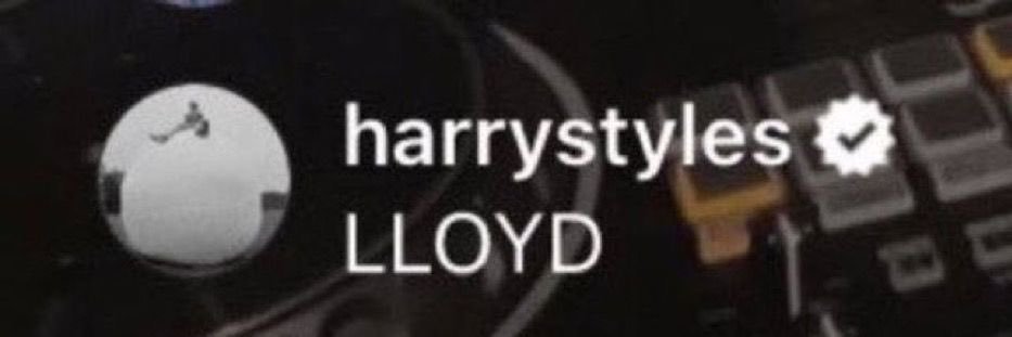harry styles hourly's banner