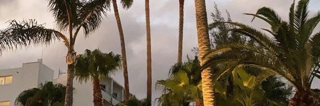 Goddess Sammy👸🏽's banner