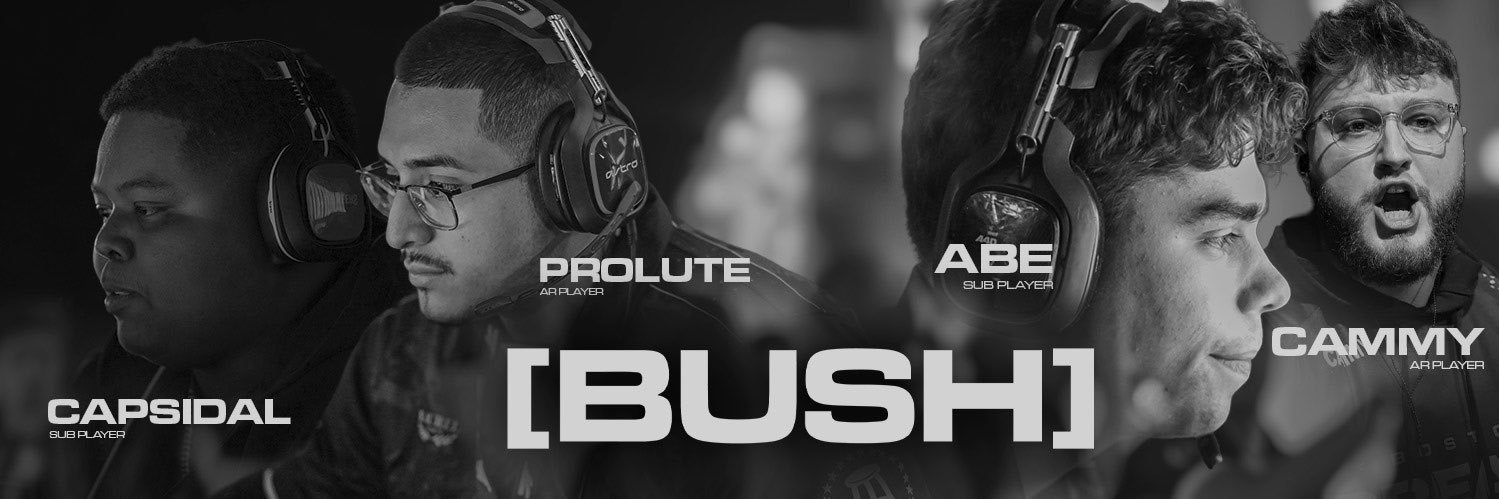 Telluride Bush Gaming's banner