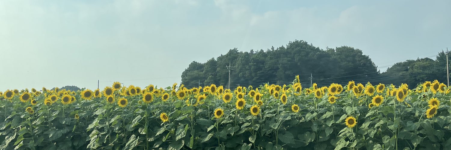 コクワちゃん🌻's banner
