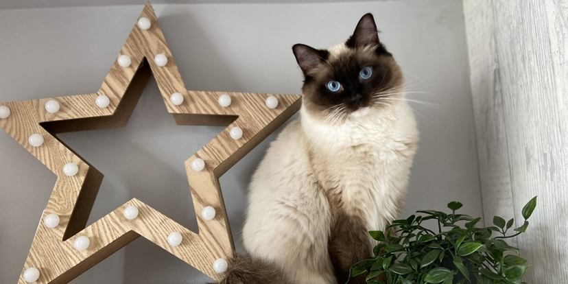 Beth xx's banner