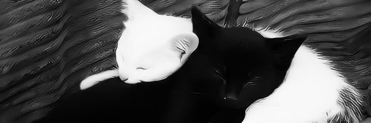Gal's banner