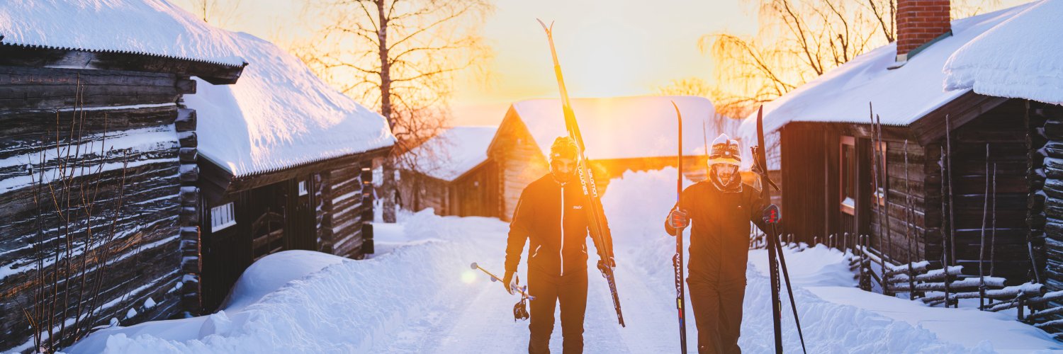 Visit Sweden's banner