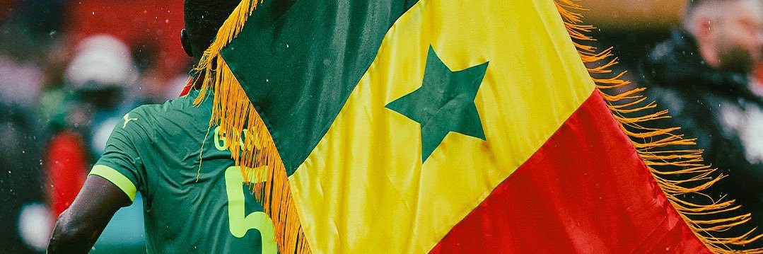 @LionsTeranga 🇸🇳's banner