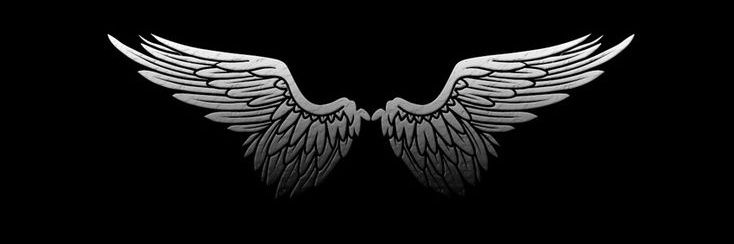 Anissa's banner