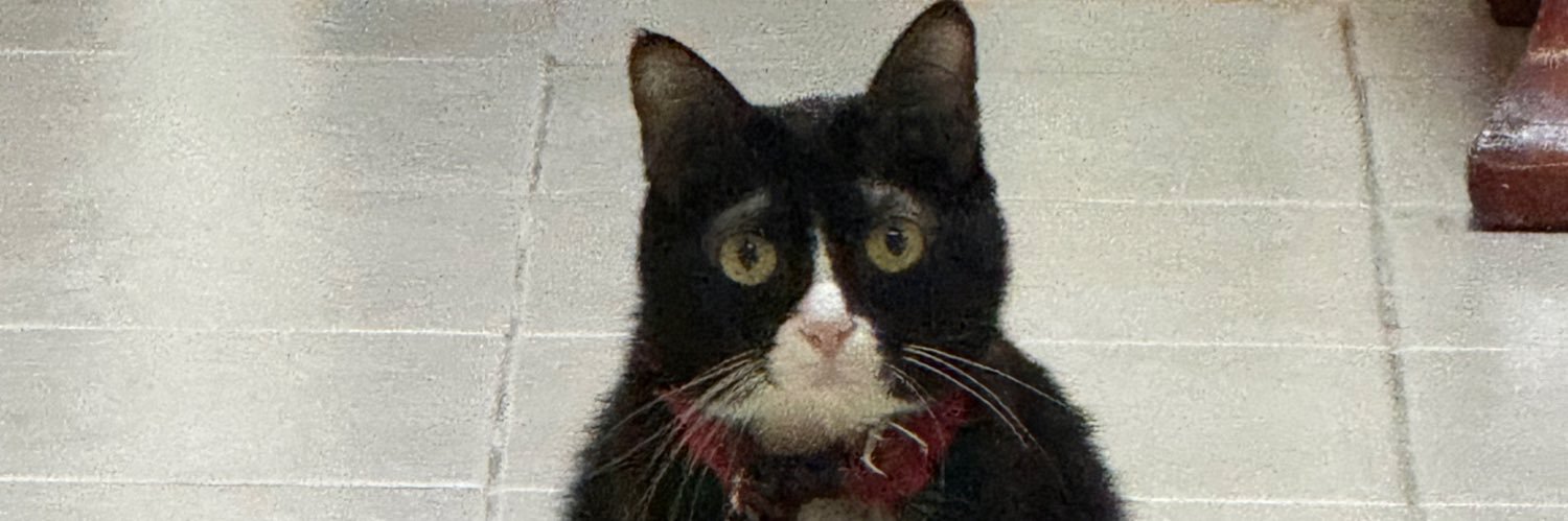 notyourgoodboy's banner