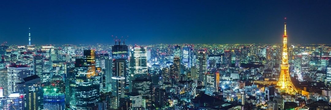 Tokyo Signal's banner