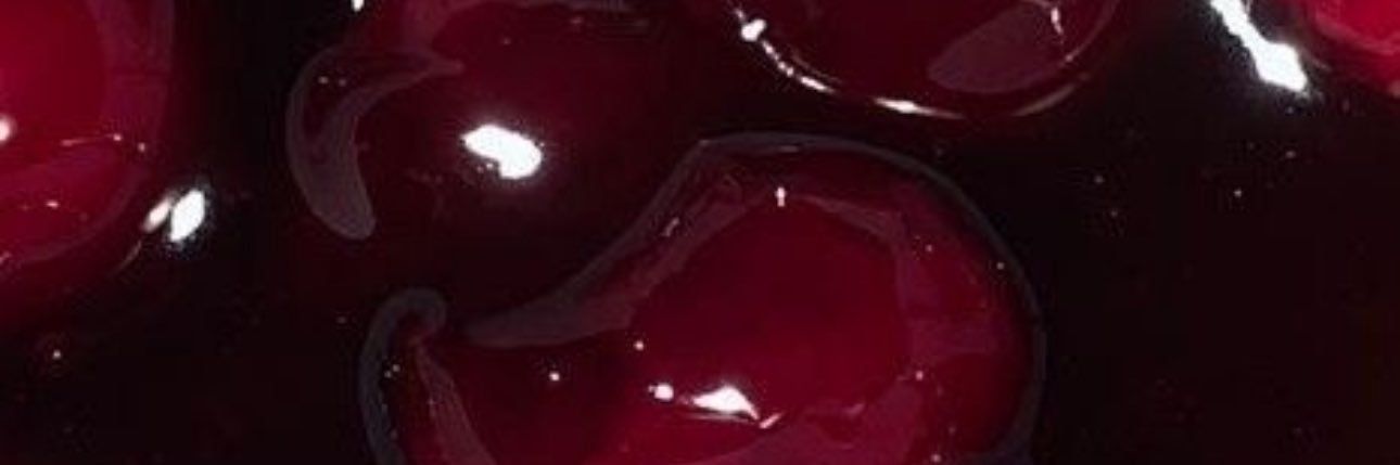 elysha's banner