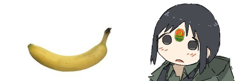 sholi 🔞's banner
