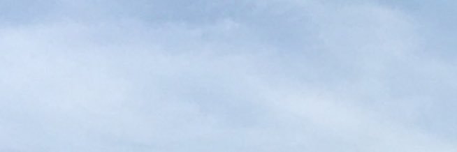 𝗡𝗼𝗿𝗶𝘀.'s banner